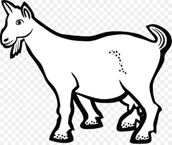 Goat, Sheep, Desktop Wallpaper, Mammal, Vertebrate PNG