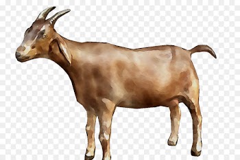 Goat Simulator Portable Network Graphics Clip art Image -  