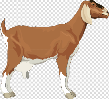 Goat Vector Png, png collections at sccpre.cat