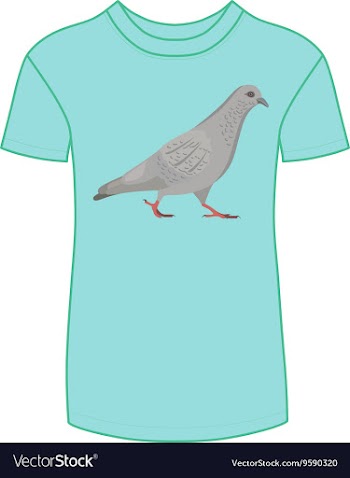 Going gray pigeon t-shirt vector image