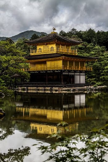 gold and black pagoda