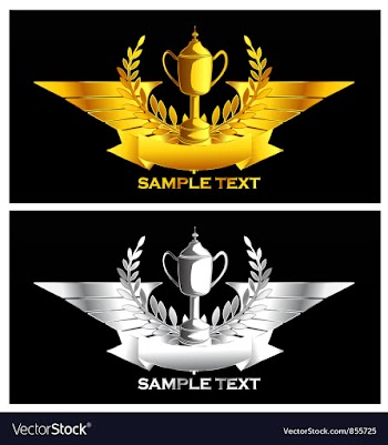 Gold and silver vintage emblem vector image