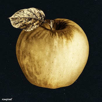 Gold apple fruit sticker design element | Free  illustration - 2358873
