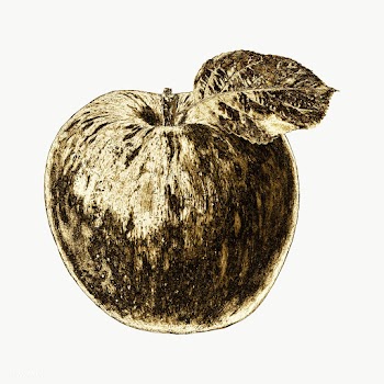 Gold apple fruit sticker design element | Free  transparent png - 2358924