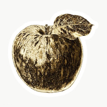 Gold apple fruit sticker with a white border | Free  transparent png - 2358919