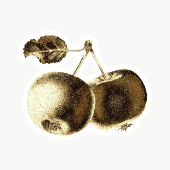Gold apple fruit sticker with a white border | Free  transparent png - 2358926
