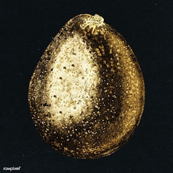 Gold avocado fruit sticker design element | Free  illustration - 2358858