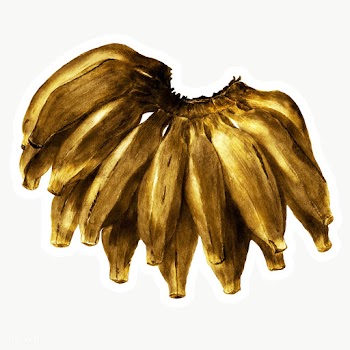 Gold banana fruit sticker  with a white border | Free  transparent png - 2358932