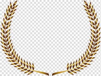 Gold border illustration, Laurel wreath Gold Bay Laurel , barley transparent background PNG clipart