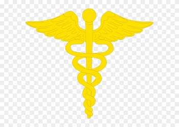 Gold Caduceus Clip Art - University Of Louisville Medical School