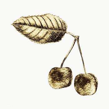 Gold cherry fruit sticker design element | Free  transparent png - 2358874