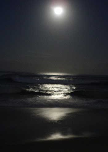 Gold Coast Moon 3.jpg