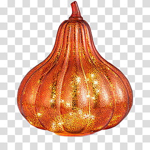 Gold-colored pumpkin illustration transparent background PNG clipart
