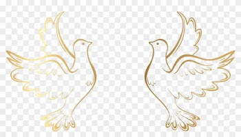 Gold Doves Decoration Transparent Png Clip Art Image - Vector Wedding