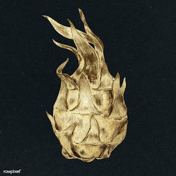 Gold dragon fruit sticker design element | Free  illustration - 2355340