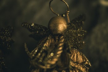 Gold Earring