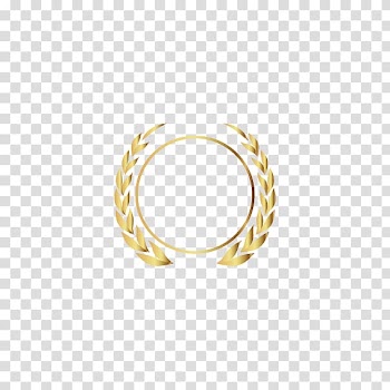 Gold emblem, Dendranthema lavandulifolium Transvaal daisy , White chamomile transparent background PNG clipart