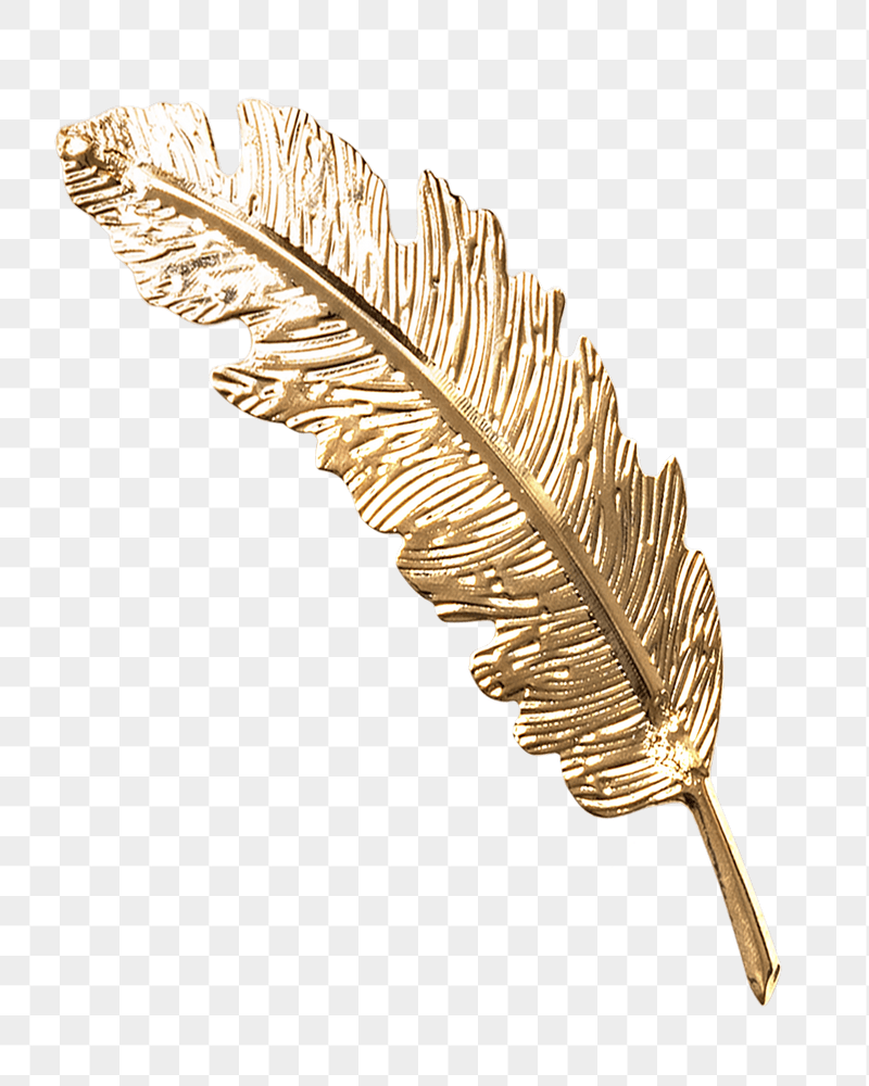 Gold feather png sticker, transparent | Free PNG - rawpixel