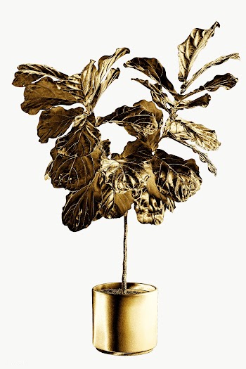 Gold fiddle leaf fig tree sticker design element | Free  transparent png - 2368629