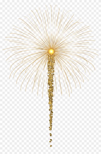 Gold Fireworks For Dark Images Png Clip Art - Palm Tree