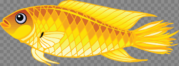 Gold Fish Png Image