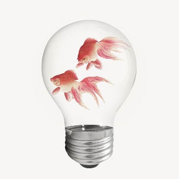 Gold fish sticker, light bulb | Free PSD - rawpixel