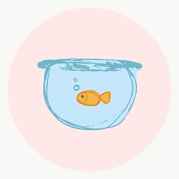 Gold fish story highlights icon for social media transparent png | Free  transparent png - 2265116