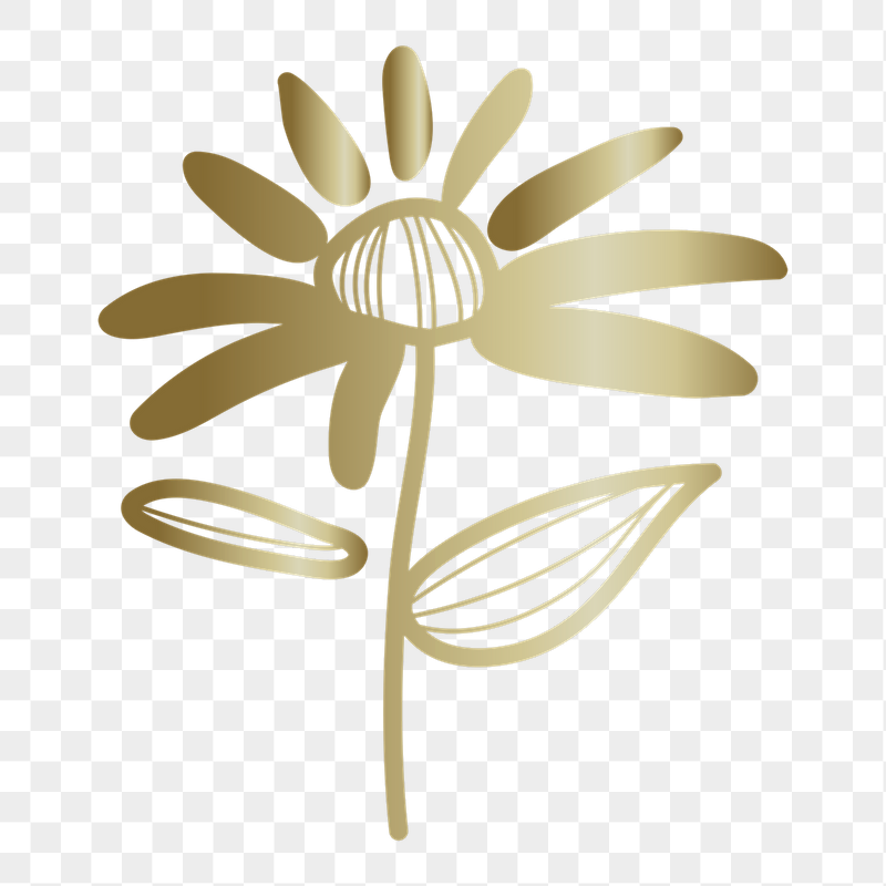 Gold flower png doodle sticker, | Free PNG - rawpixel