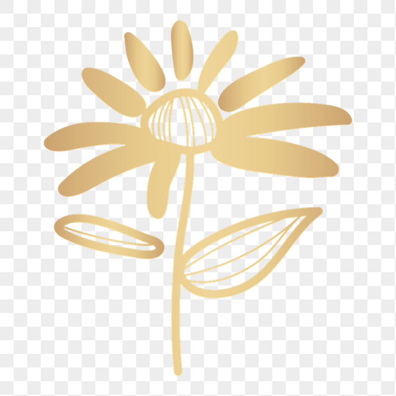 Gold flower png doodle sticker, | Free PNG - rawpixel