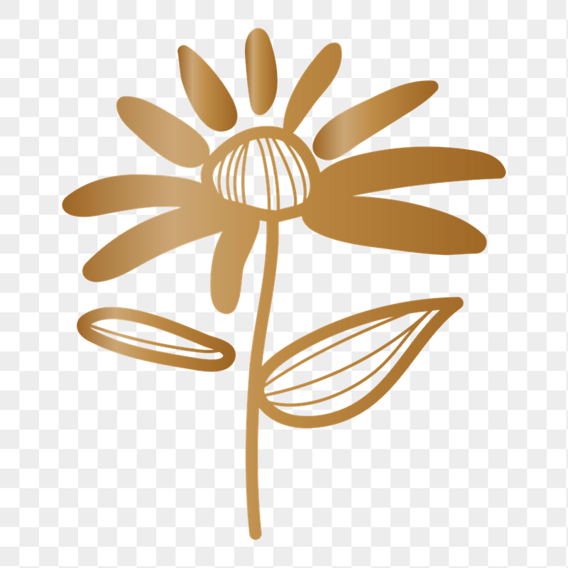 Gold flower png doodle sticker, | Free PNG - rawpixel