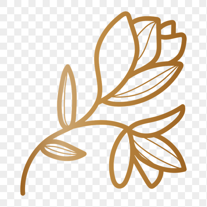 Gold flower png doodle sticker, | Free PNG - rawpixel