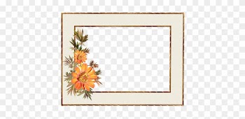 Gold Frame Border Design - Frame