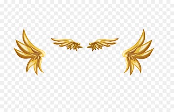Gold - Golden wings 