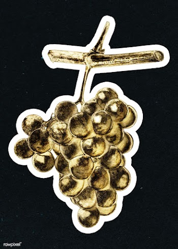 Gold grapes sticker with a white border | Free  illustration - 2358872