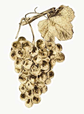Gold grapes sticker with a white border | Free  transparent png - 2358945
