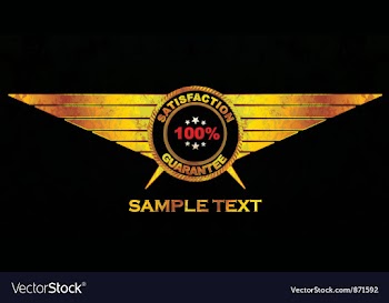 Gold grunge label with wings vector image