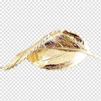 Gold leaf Autumn Brooch, gold leaf transparent background PNG clipart
