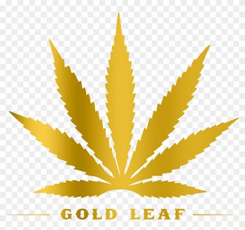 Gold Leaf Beer - Weed Leaf Clip Art