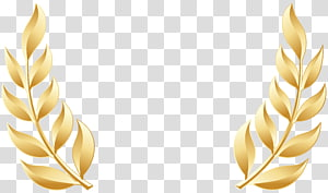 Gold Leaf PNG clipart images free download | PNGGuru