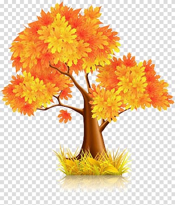 Gold leaf tree transparent background PNG clipart