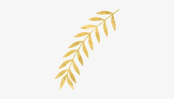 Gold Leaves Png - Free Transparent PNG Download - PNGkey