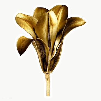 Gold lily flower sticker with a white border | Free  transparent png - 2366533