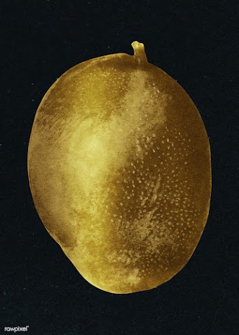 Gold mango sticker design element | Free  illustration - 2358862