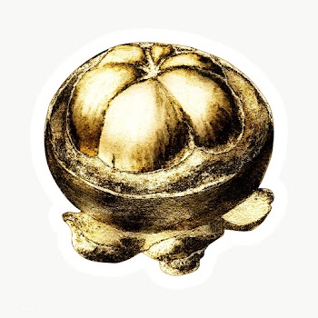 Gold mangosteen fruit sticker with a white border | Free  transparent png - 2358910