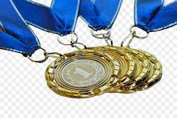 Gold medal Award - Medal of Medals 