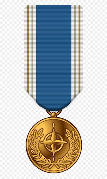 Gold medal Military awards and decorations Navy and Marine Corps Medal - medal of refinement 