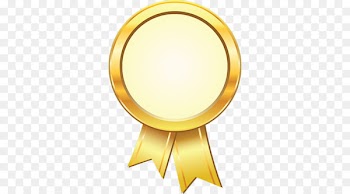 Gold medal Silver medal Bronze Award - GOLDEN RİBBON 