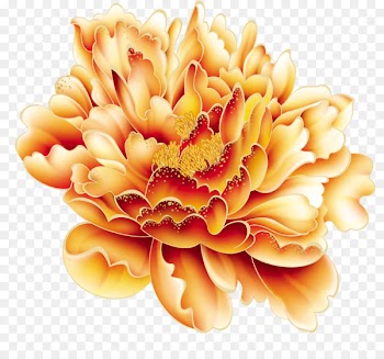 Gold Moutan peony Red Color - Vector peony flower 