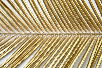 Gold palm leaf patterned background | Free  photo - 2230186