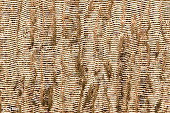 Gold patterned background | Free stock photo - 552535
